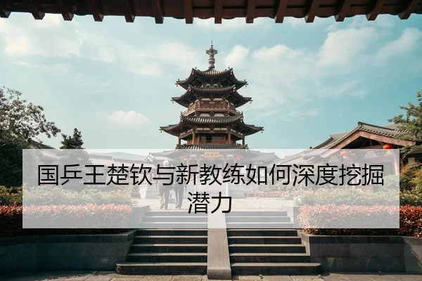 国乒王楚钦与新教练如何深度挖掘潜力 - kaiyun
