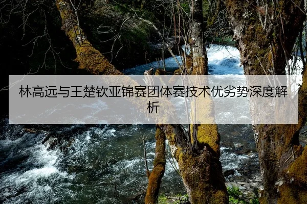 林高远与王楚钦亚锦赛团体赛技术优劣势深度解析 - kaiyun